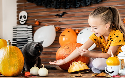 Best Halloween Treats to Cook in Your Remodeled Kitchen