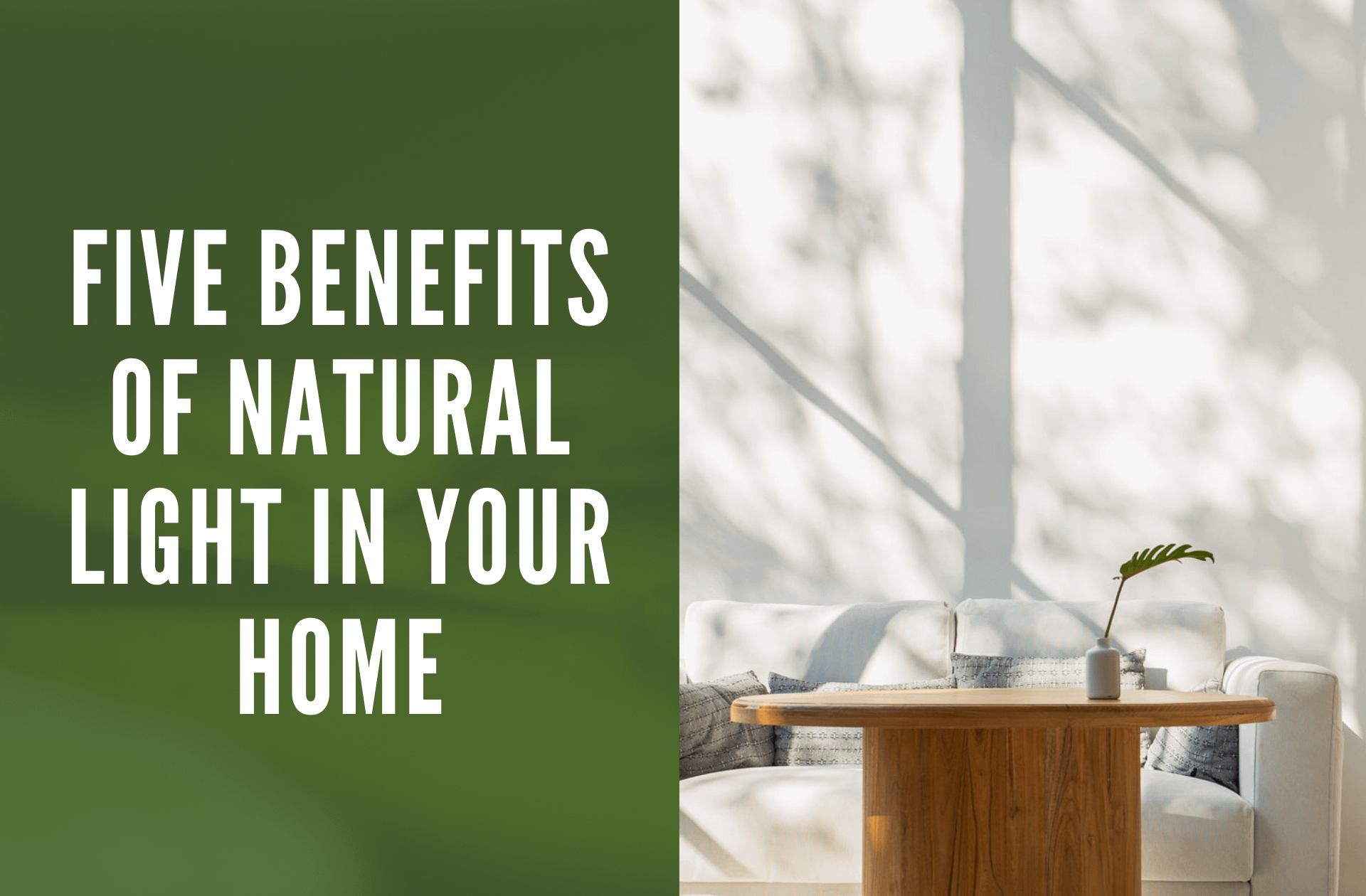 Five Benefits of Natural Light in Your Home Remodeling Trends